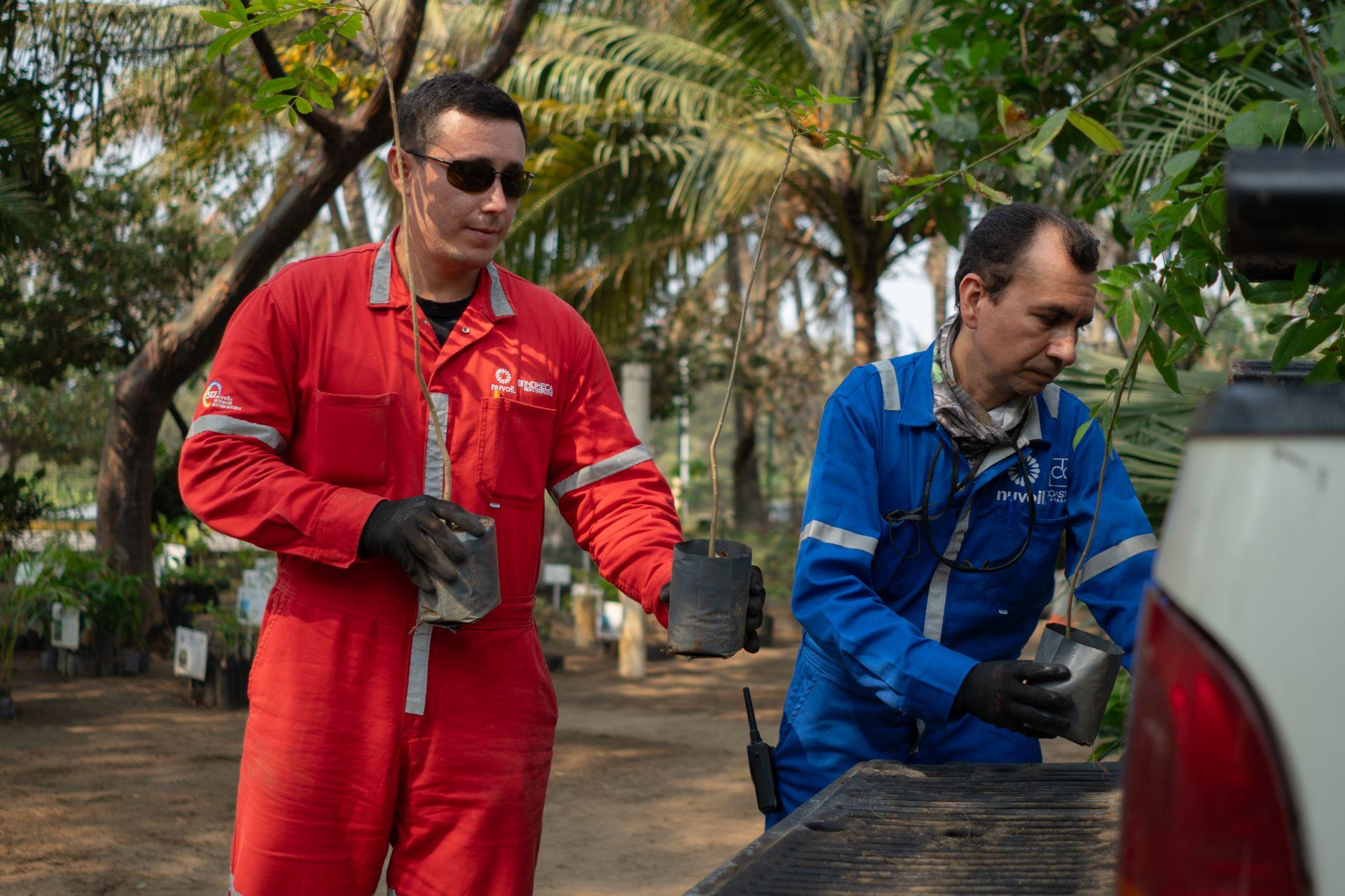 Entrega de plantitas PEMEX